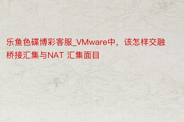 乐鱼色碟博彩客服_VMware中，该怎样交融桥接汇集与NAT 汇集面目